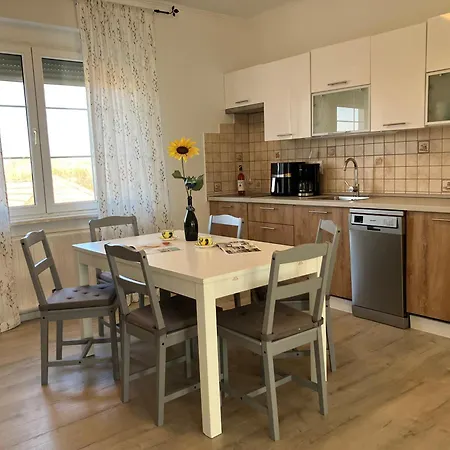 Felisa House كيستاي