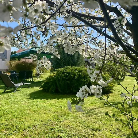 Felisa House كيستاي