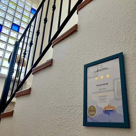Apartmán Felisa House *